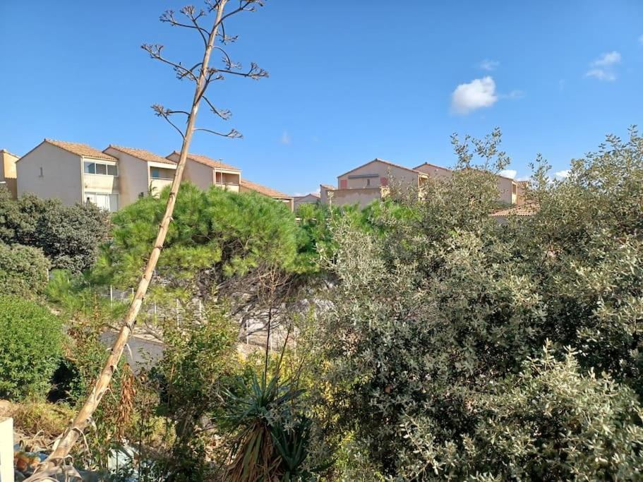 Plain-Pied, Terrasse, Piscine, Pleine Vue Mer, Plage A 6' A Pied, Parking, Wifi Fleury  Exterior photo